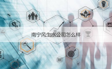 南寧風(fēng)生水公司綜合概況與企業(yè)信息解析